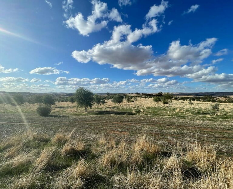 South-West WA Drought Resilience Adoption and Innovation Hub